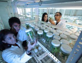 L’Algérie se lie à l’Espagne pour la recherche scientifique !