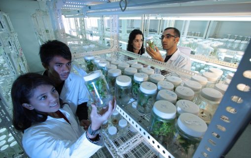 L’Algérie se lie à l’Espagne pour la recherche scientifique !