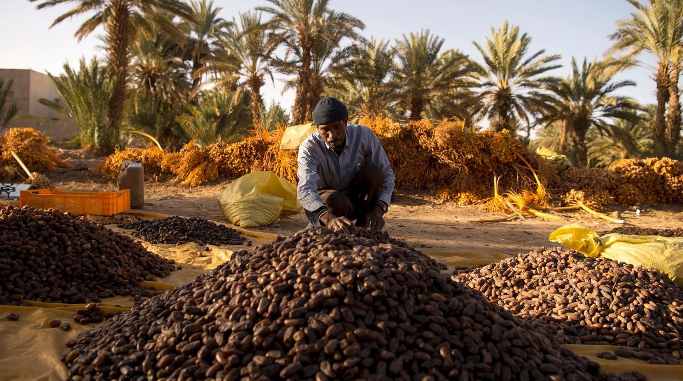 Les pays d’Europe dont l’Union européenne sont les principaux partenaires de l’Algérie, avec 63,69% des exportations algériennes et 53,40% de ses importations