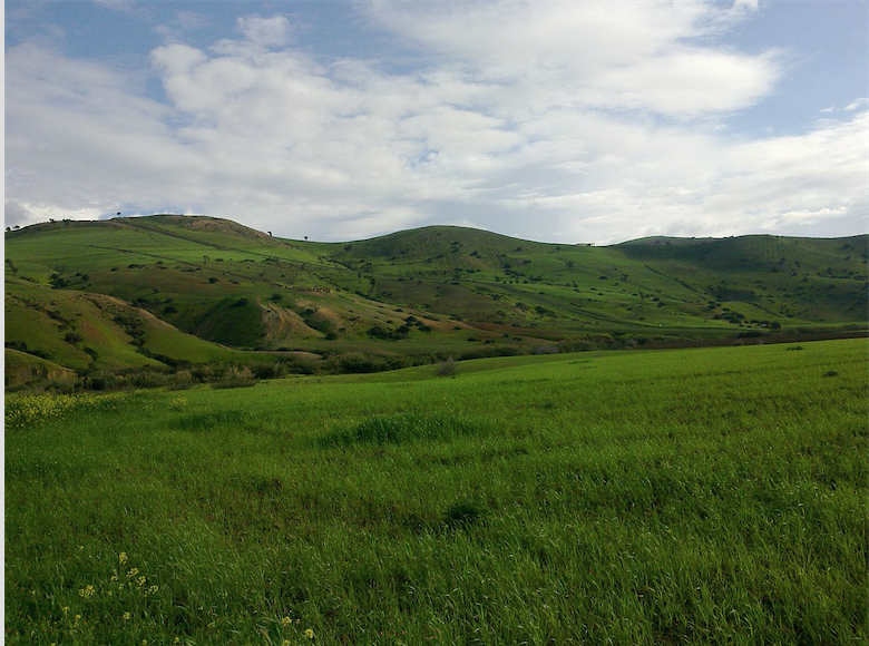 L’Algérie va mener un vaste projet agricole avec la Chine