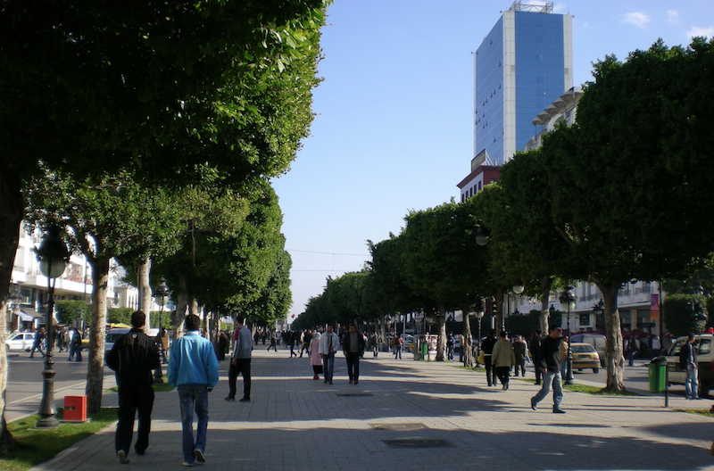 Tunisie : De nouvelles mesures annoncées pour endiguer le covid-19. Le chef de gouvernement légiférera par ordonnance 