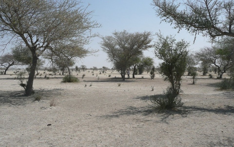 Israël veut apporter son savoir-faire technologique au Cameroun pour améliorer la qualité de son approvisionnement en eau dans les régions du Sahel 