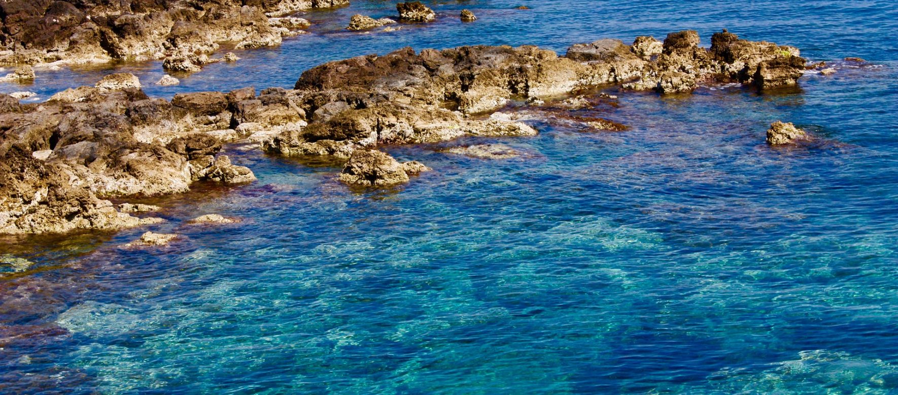 The Mediterranean Sea is threatened by mass tourism, according to the WWF 2