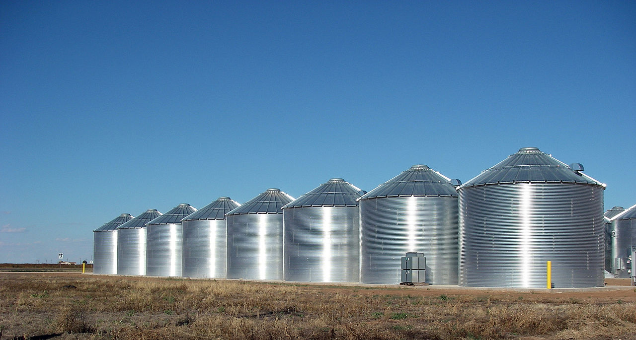 Egypte : L’Italie va construire dix silos à blé pour faire face à la production de blé égyptienne