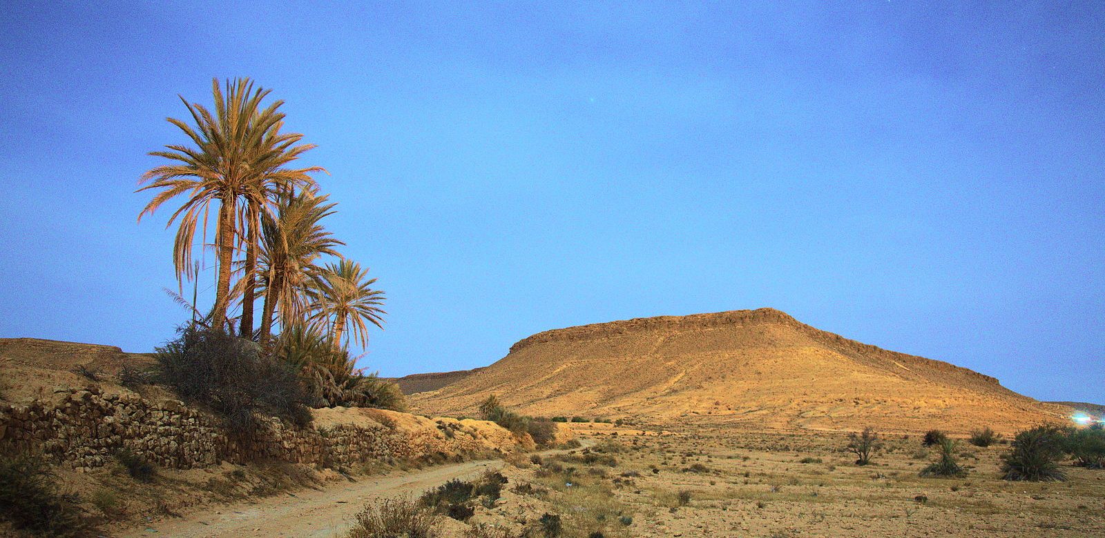 Un important projet gazier lancé en 2019 en Tunisie