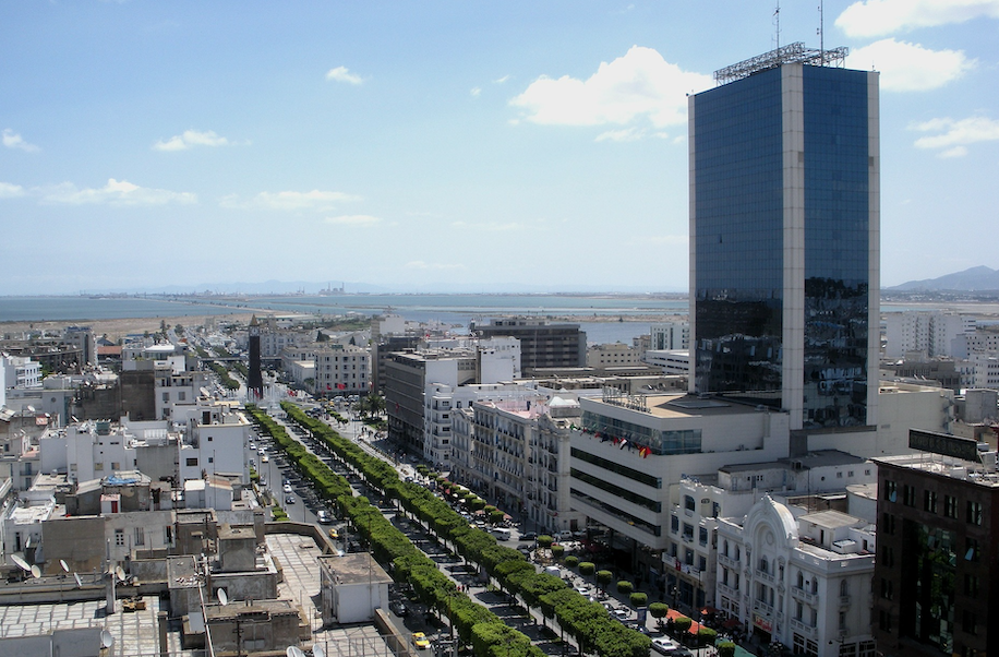 Tunisie : Renaud Muselier en visite à Tunis pour booster la coopération des territoires