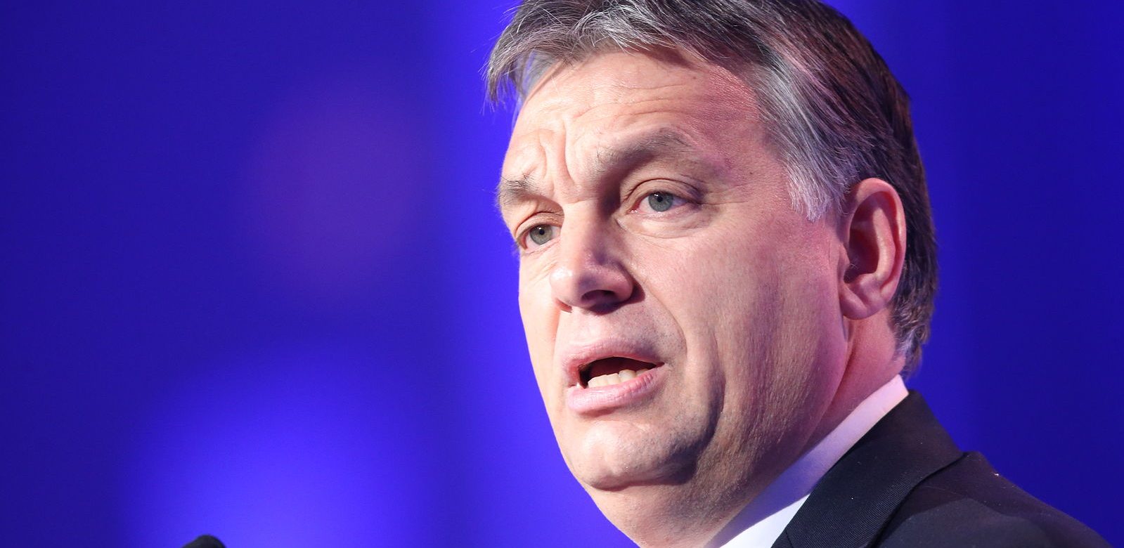 Déplacement du Premier ministre hongrois en Egypte,  une autre diplomatie qui séduit