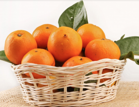 L’Egypte maintient sa place de premier exportateur mondial d’oranges devant l’Espagne 1