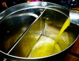 Tunisie : Les exportations d’huile d’olive en hausse de 97 %