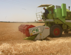 Agriculture : L’Algérie veut augmenter sa production nationale et réduire les importations
