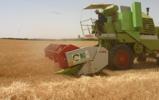 Agriculture : L’Algérie veut augmenter sa production nationale et réduire les importations