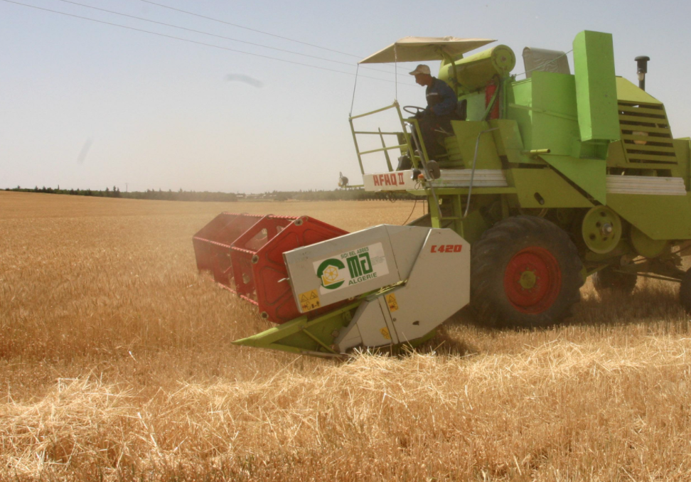 Agriculture : L’Algérie veut augmenter sa production nationale et réduire les importations