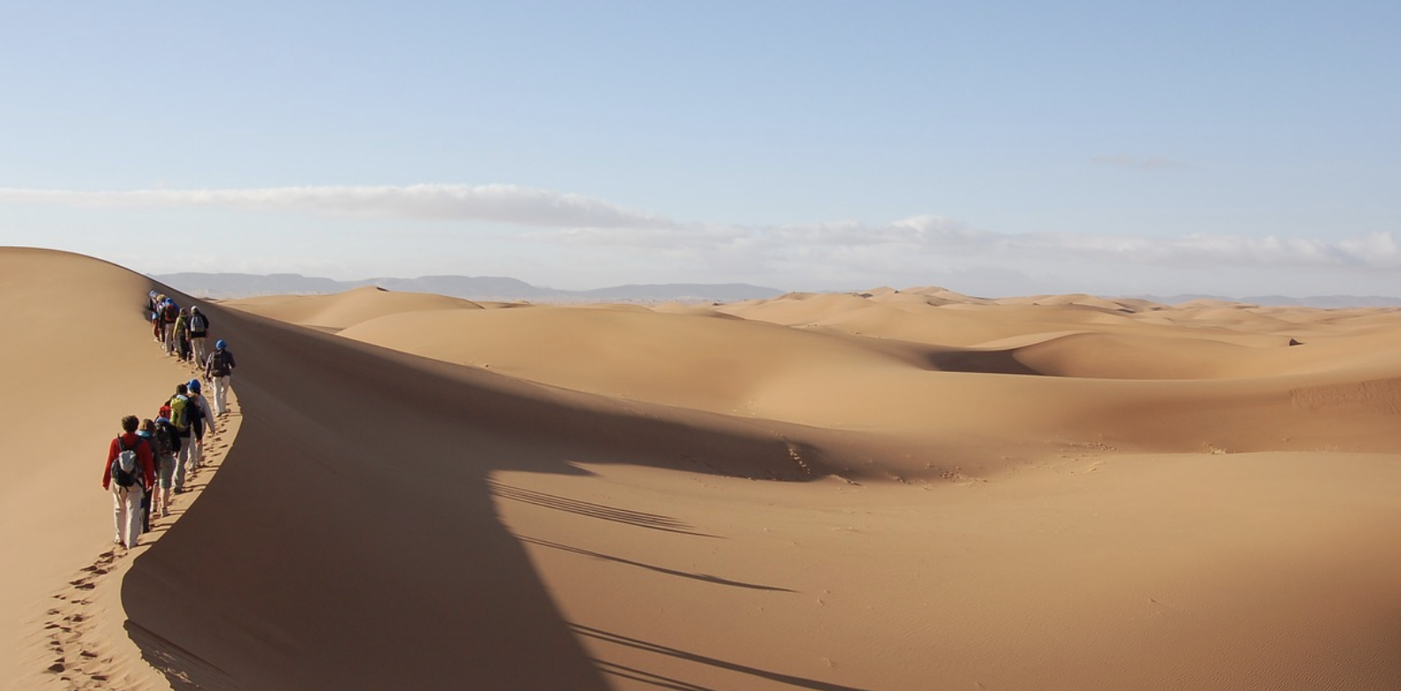 Le Maroc veut ériger le Sahara en moteur de développement régional et continental