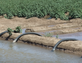 L’Egypte veut faciliter l’accès des fermiers aux systèmes solaires d’irrigation