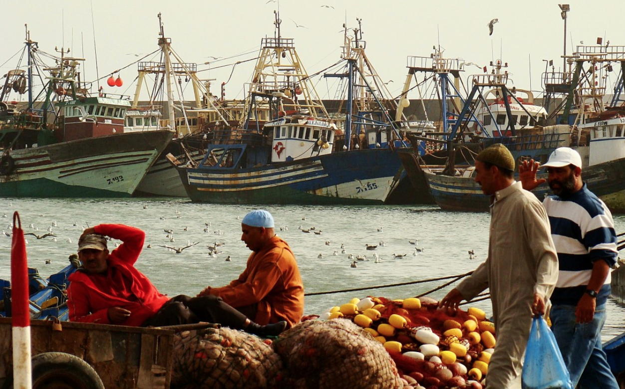 Maroc : La filière pêche affiche une bonne performance depuis le début de l’année