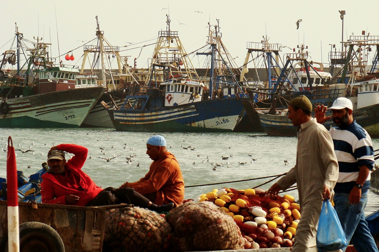 Maroc : La filière pêche affiche une bonne performance depuis le début de l’année