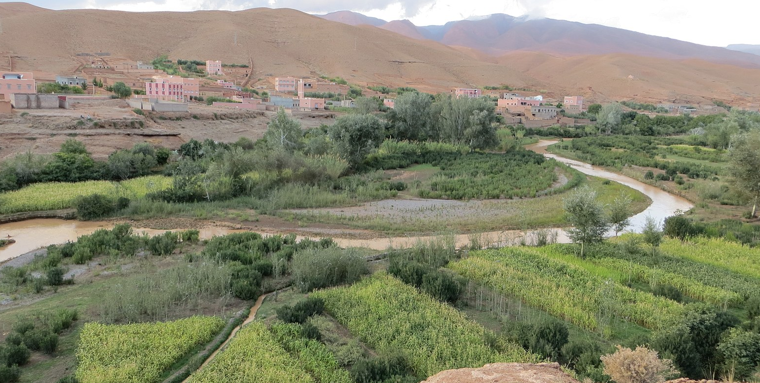 Maroc : Le marché des services agricoles s’apprête à connaître un important bouleversement