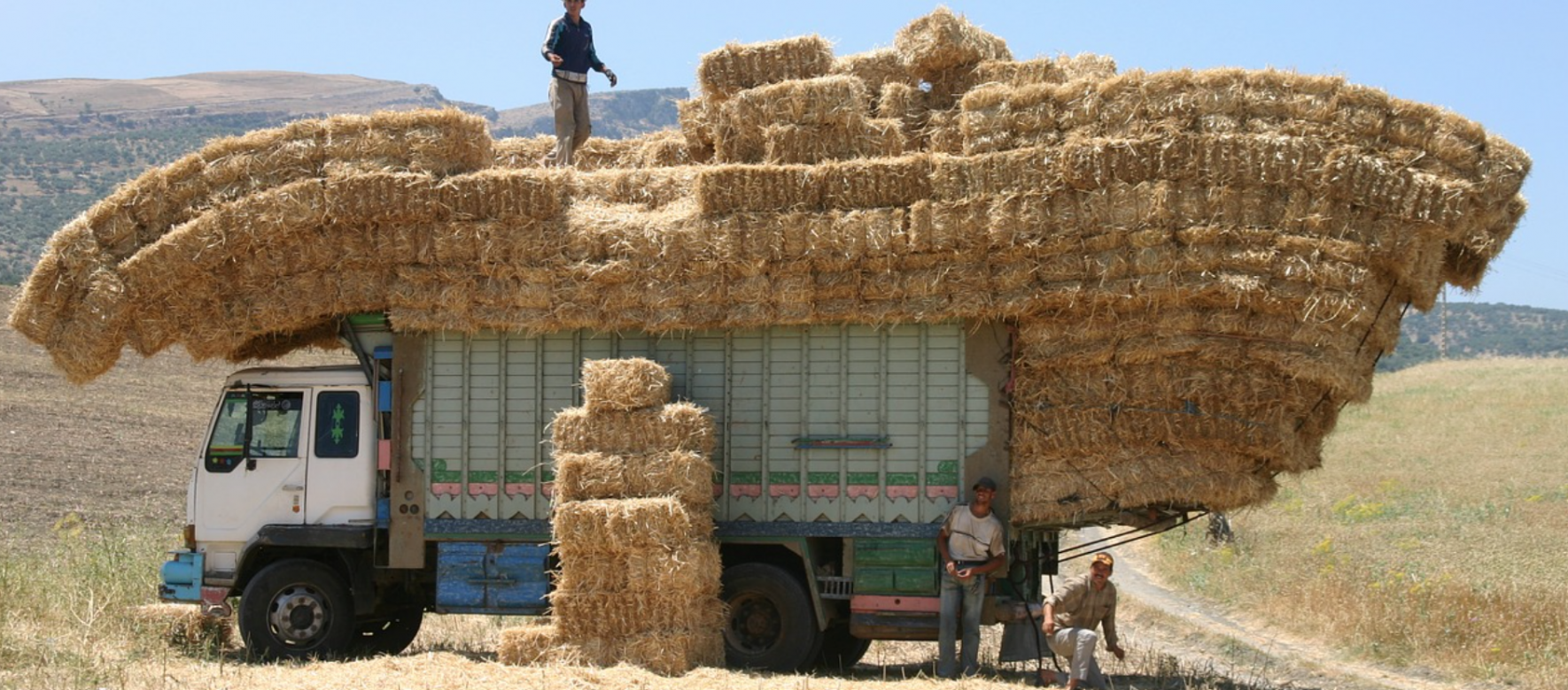 Maroc : La nouvelle feuille de route pour le secteur agricole dénommée « Génération Green » va bénéficier de 250 millions $ de la part de la Banque mondiale
