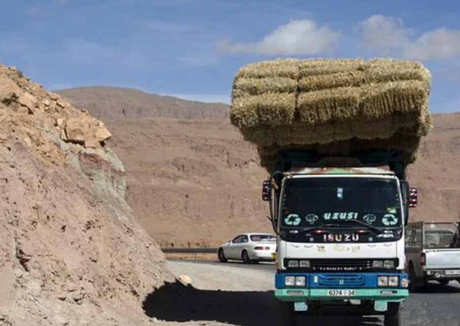 Le Maroc veut réduire de 25% le nombre de morts dans les accidents de circulation d’ici fin 2021 et de 50% à l’échéance 2026