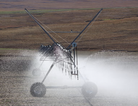 Egypte : La Société financière internationale (SFI) et la banque égyptienne Alexbank vont accompagner des agriculteurs dans l’achat de systèmes d’irrigation solaire pour accroître leur productivité et revenus