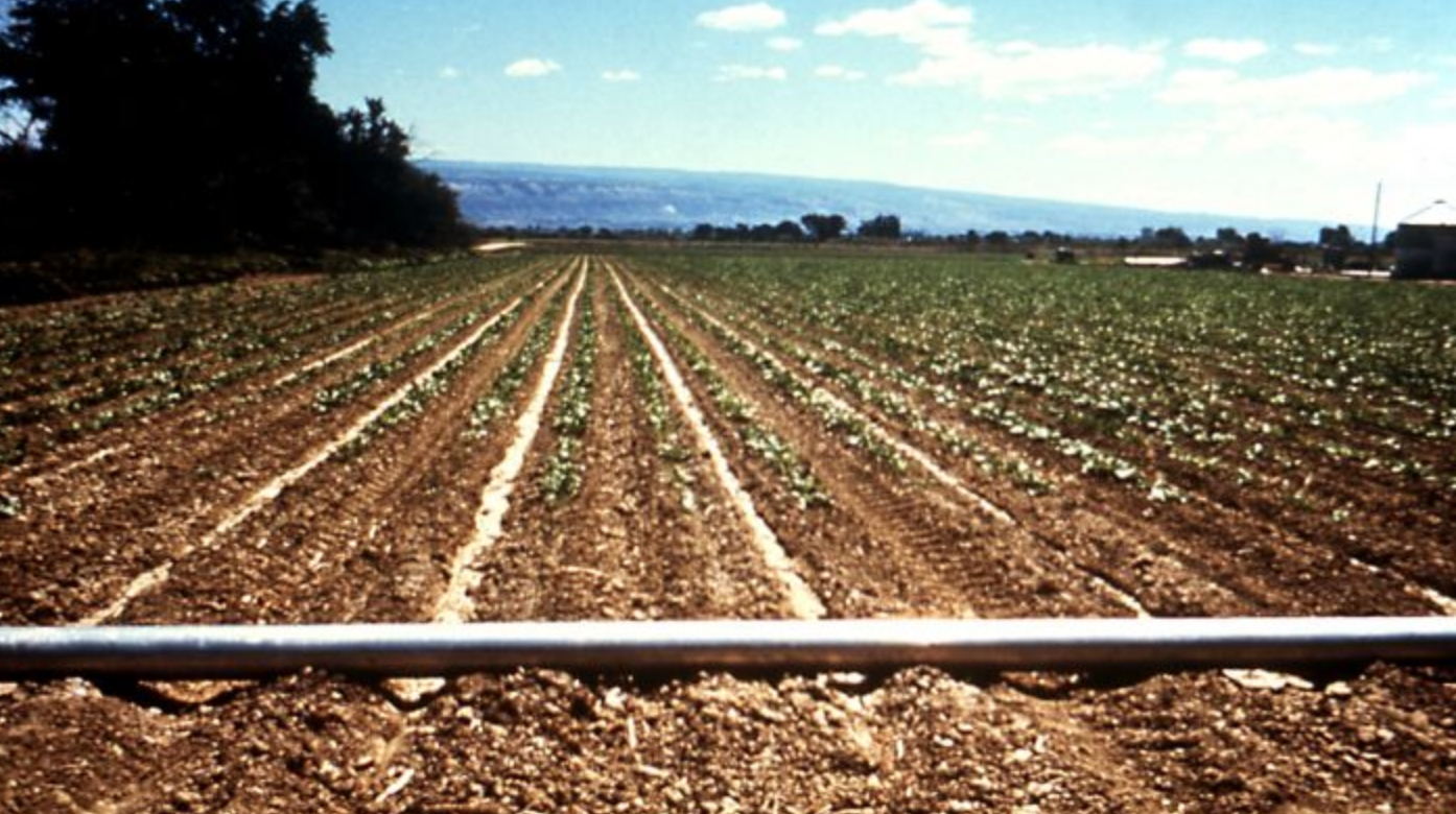 Maroc : Le fonds Amethis Mena II a acquis une part majoritaire dans la firme Magriser, spécialisée dans la distribution de matériels de micro-irrigation et systèmes de pompage solaire