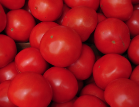 La Turquie a exporté du concentré de tomates vers 90 pays et a obtenu un revenu de 40,1 millions de dollars en 2021