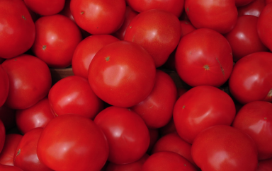 La Turquie a exporté du concentré de tomates vers 90 pays et a obtenu un revenu de 40,1 millions de dollars en 2021
