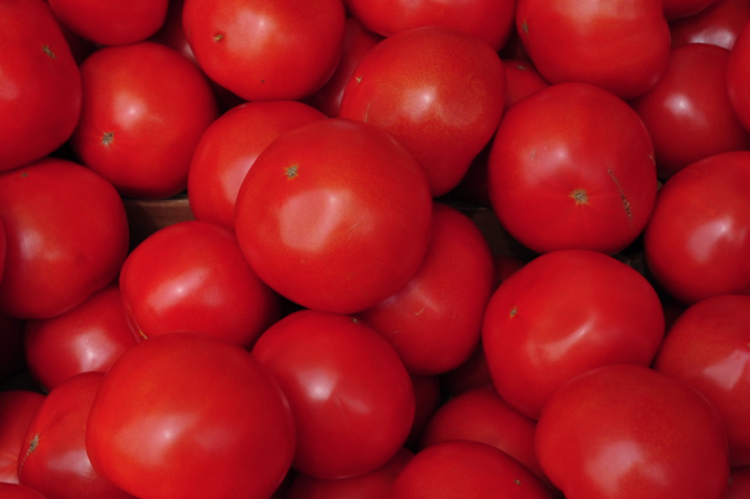 La Turquie a exporté du concentré de tomates vers 90 pays et a obtenu un revenu de 40,1 millions de dollars en 2021