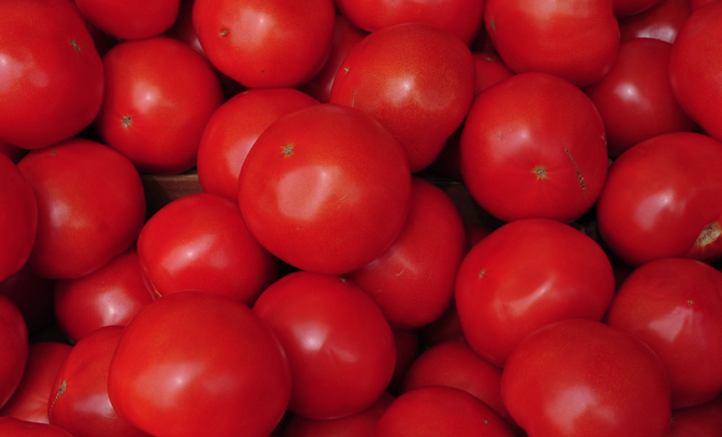 La Turquie a exporté du concentré de tomates vers 90 pays et a obtenu un revenu de 40,1 millions de dollars en 2021