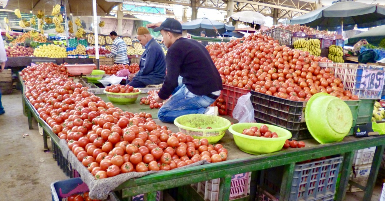 Maroc : La filière tomate marocaine continue de rayonner au Royaume-Uni