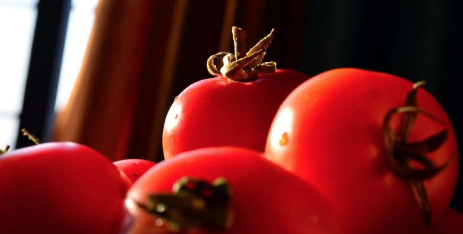 Morocco: The Moroccan tomato production continues to shine in the United Kingdom