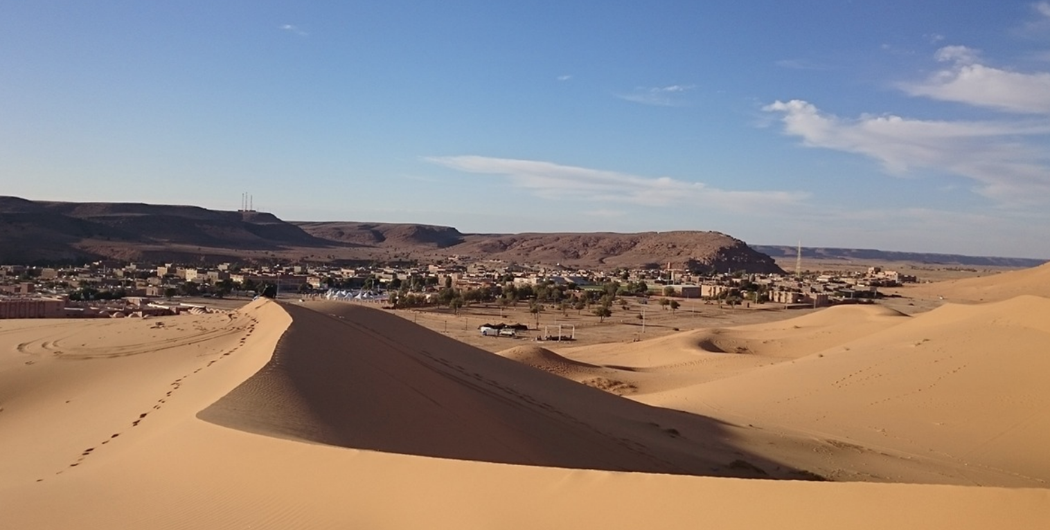 L’Algérie a mis en place une stratégie de lutte contre la désertification à l’horizon 2035