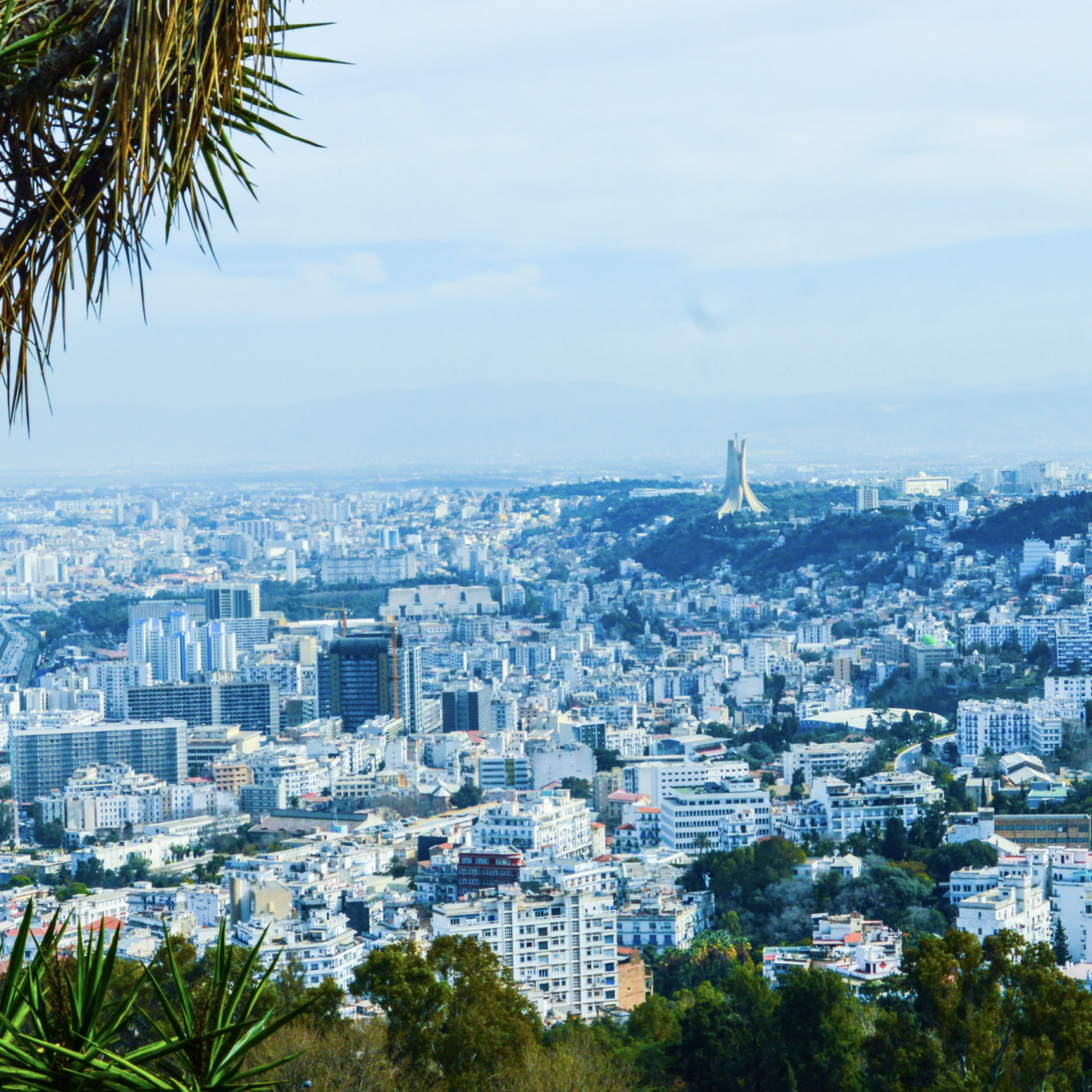 Conjoncture : « L’Algérie doit accéder les réformes pour protéger son économie »