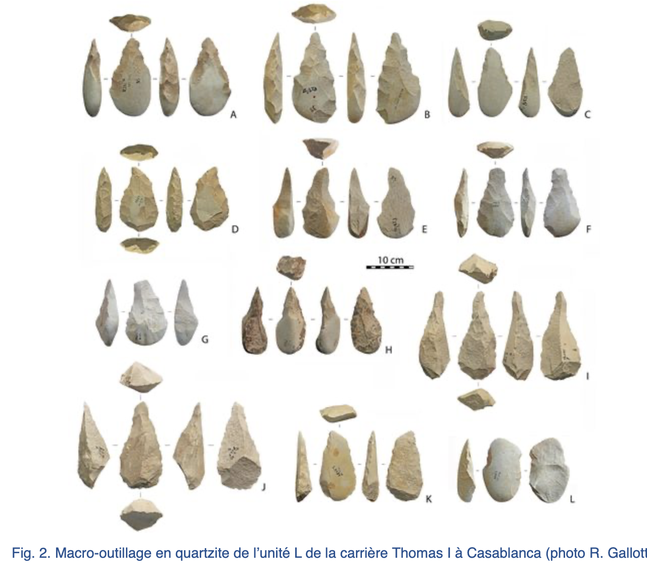 Maroc-Montpellier : L’Acheuléen le plus ancien site connu au Maroc a été découvert dans la région de Casablanca avec l’Université Paul-Valéry 1