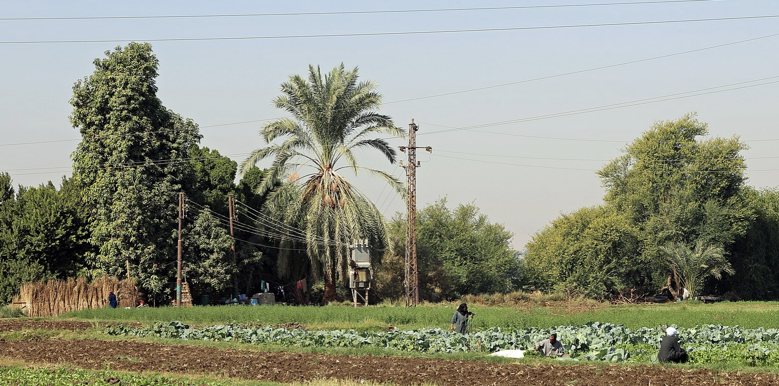 Egypt wants to take advantage of trade opportunities linked to strong Chinese demand for agricultural products