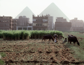 L’Egypte veut profiter des opportunités commerciales liées à la forte demande chinoise de produits agricoles