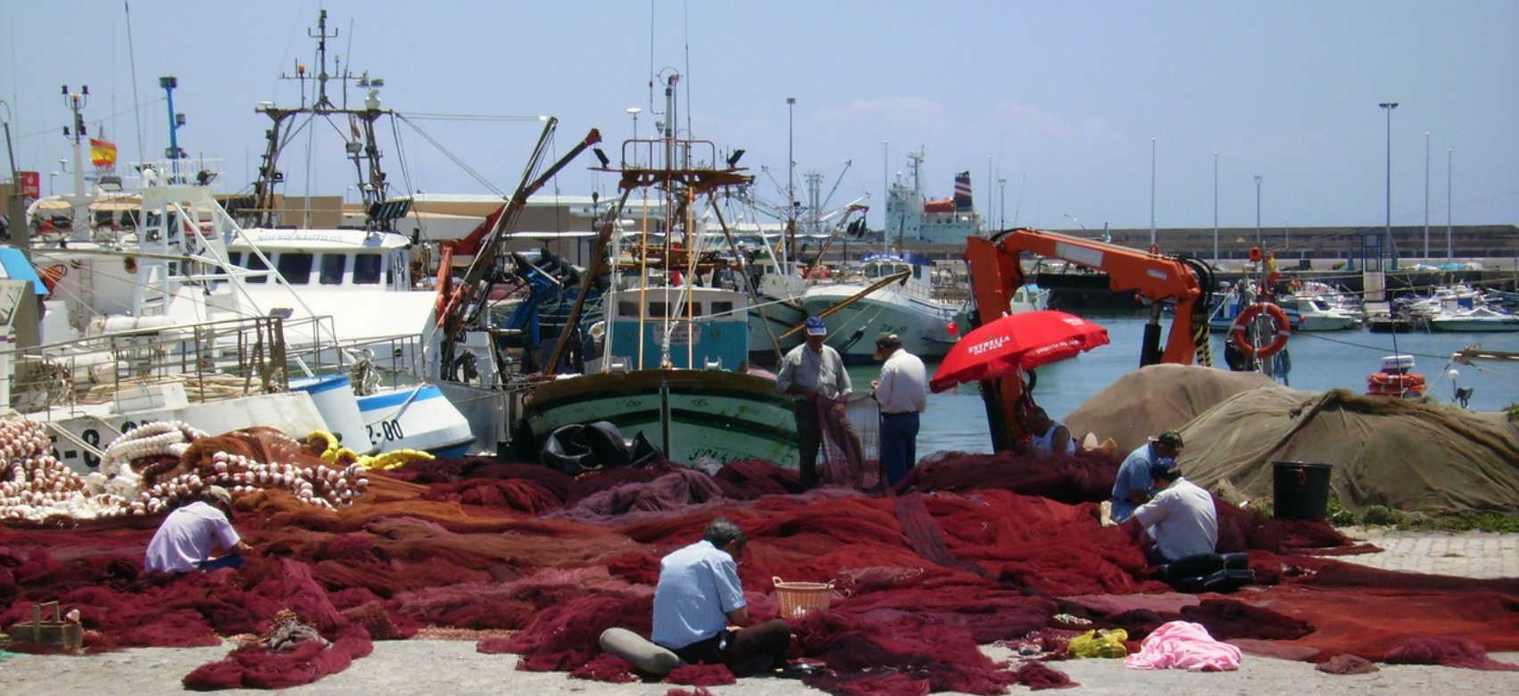 Algérie : L’exécutif veut accompagner l’installation de 500 microentreprises et startups dans la pêche et l’aquaculture dans les trois prochaines années