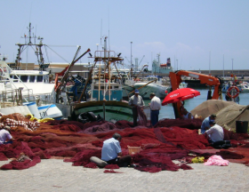 Algérie : L’exécutif veut accompagner l’installation de 500 microentreprises et startups dans la pêche et l’aquaculture dans les trois prochaines années