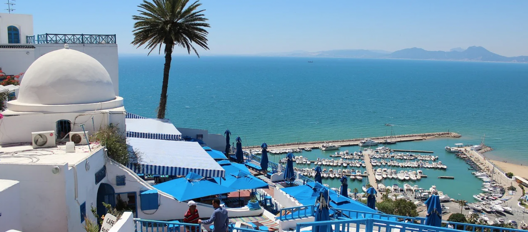 Tunisia : What is the economic situation, tourist income and food coverage in the country?