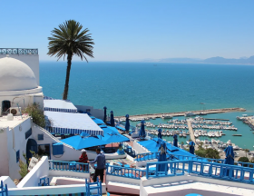 Tunisia : What is the economic situation, tourist income and food coverage in the country?