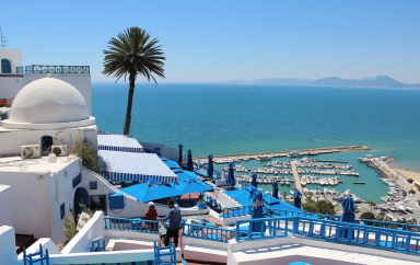 Tunisia : What is the economic situation, tourist income and food coverage in the country?