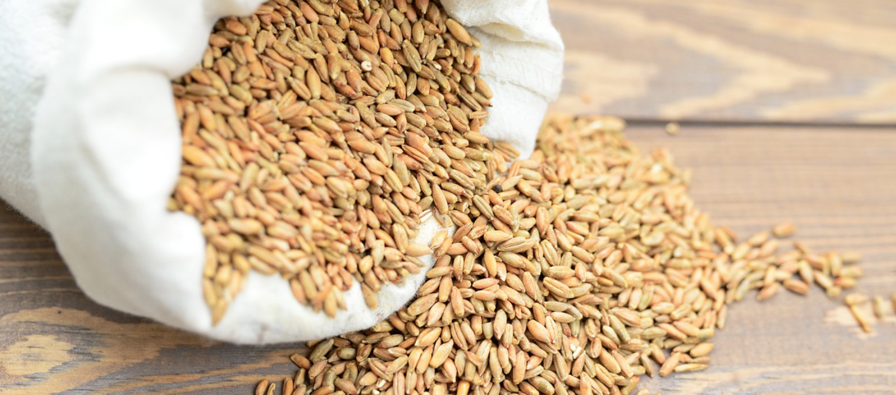 L’Algérie représente le second consommateur africain de blé derrière l’Egypte et le 5e importateur mondial de la céréale derrière l’Egypte, la Chine, l’Indonésie et la Turquie