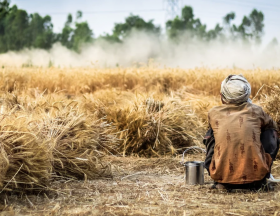 La Tunisie fait face à des épuisements de produits de premières nécessités et des difficultés d’approvisionnement en blé