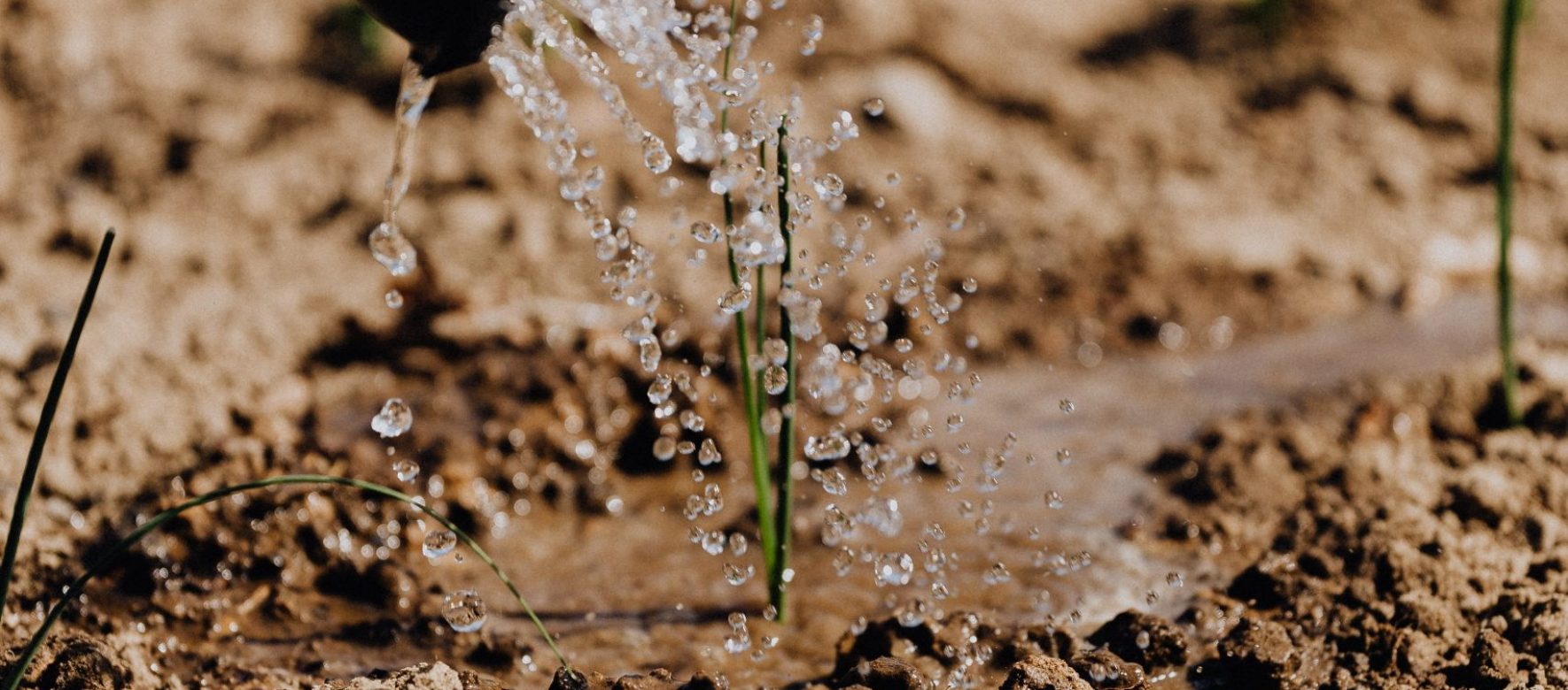 Le Maroc fait face à une sécheresse dangereuse pour son agriculture. Le gouvernement lance un programme exceptionnel d’un milliard d’€