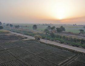 Egypte : Le ministère du Commerce a annoncé l' interdiction des expéditions de plusieurs articles agricoles de base durant les trois prochains mois