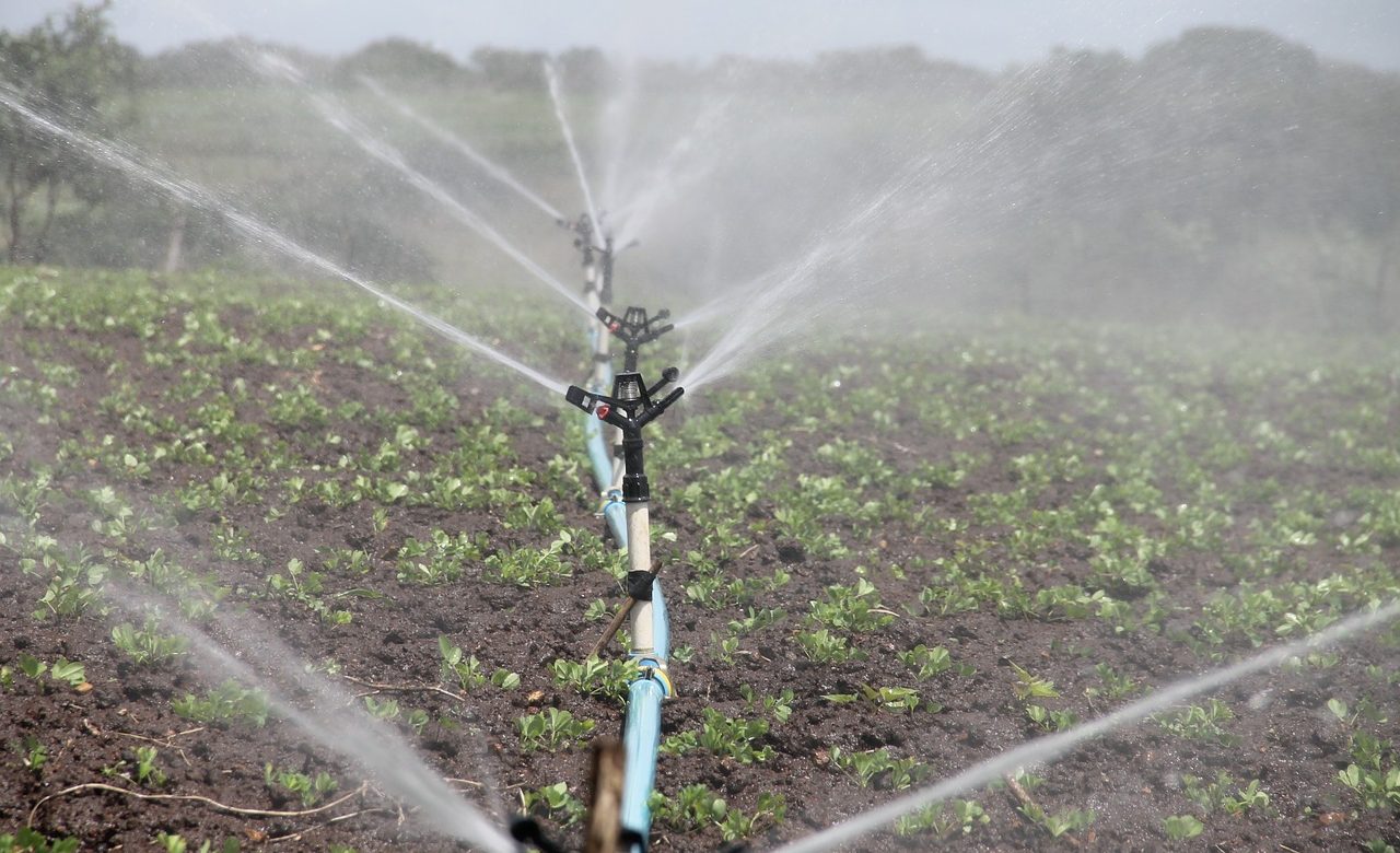 Maroc : La Banque africaine de développement en visite spéciale dans le pays pour se rendre compte de l’impact de ses aides financières sur les secteurs de l’eau et l’agriculture