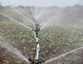 Maroc : La Banque africaine de développement en visite spéciale dans le pays pour se rendre compte de l’impact de ses aides financières sur les secteurs de l’eau et l’agriculture