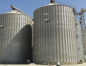 Egypte : Le gouvernement va envoyer une délégation en Inde afin d’étudier les possibilités d’importation de blé depuis le pays asiatique suite à la crise en Ukraine