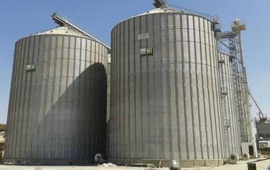 Egypt: The government will send a delegation to India to study the possibilities of importing wheat from the Asian country following the crisis in Ukraine