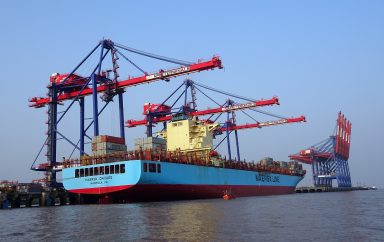 Egypt: India becomes official importer of wheat for the country of the pharaohs
